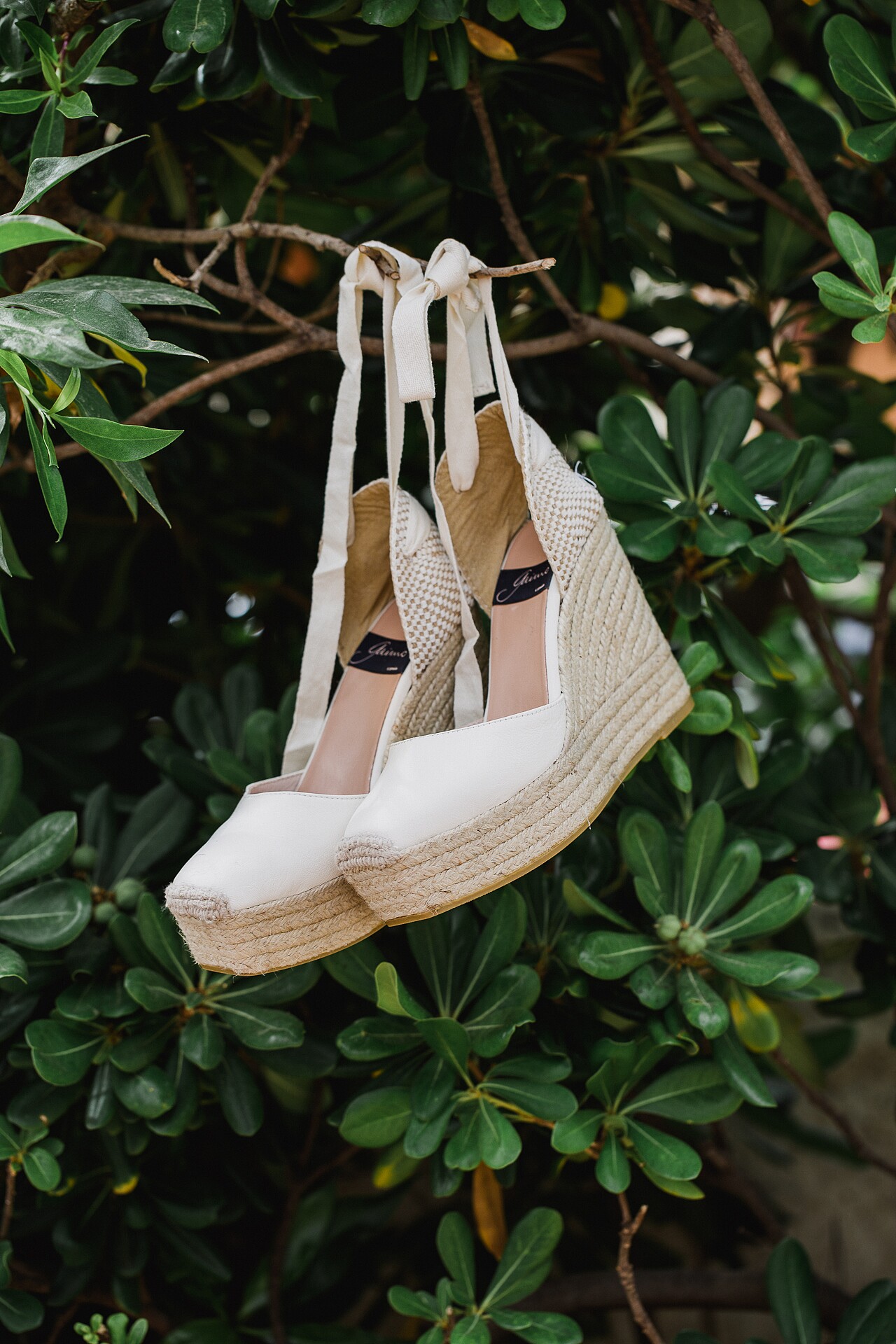 Boda completa-ELMT-9